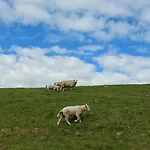 Gartenwohnung Διαμέρισμα Westerdeichstrich