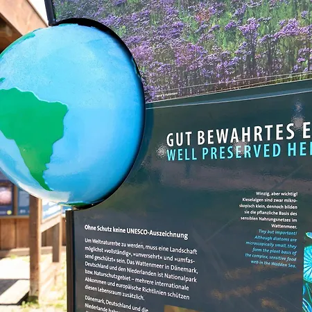 Apartment Gartenwohnung *