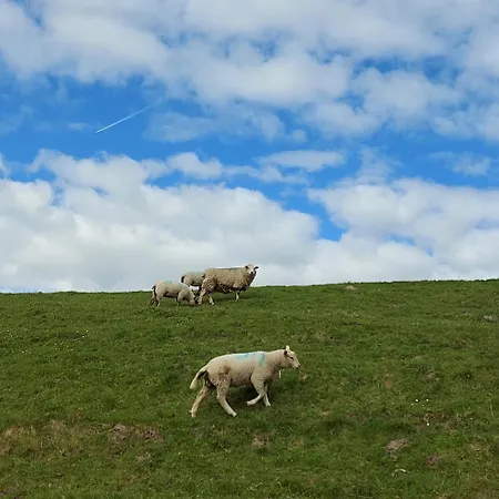 Apartment Gartenwohnung Westerdeichstrich