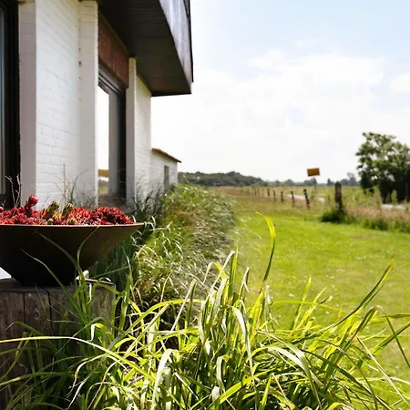 Gartenwohnung Appartement Westerdeichstrich