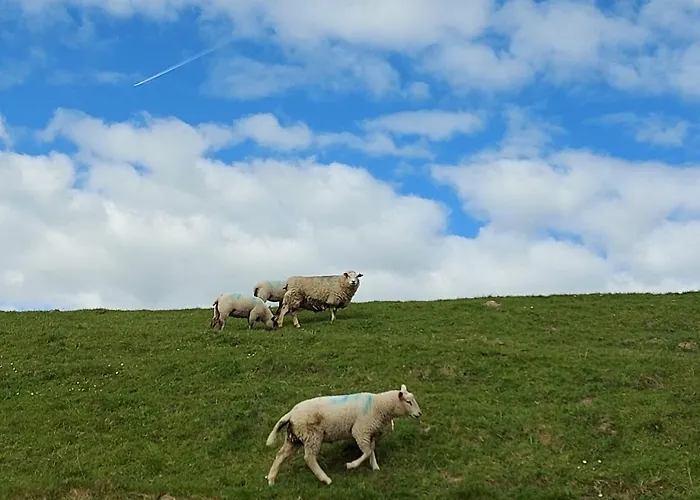 Apartamento Gartenwohnung Westerdeichstrich